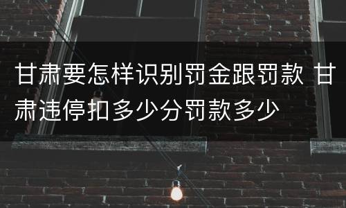 甘肃要怎样识别罚金跟罚款 甘肃违停扣多少分罚款多少