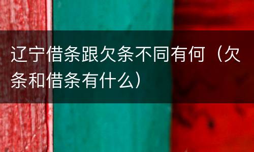辽宁借条跟欠条不同有何（欠条和借条有什么）