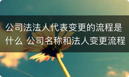公司法法人代表变更的流程是什么 公司名称和法人变更流程