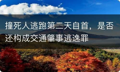 撞死人逃跑第二天自首，是否还构成交通肇事逃逸罪