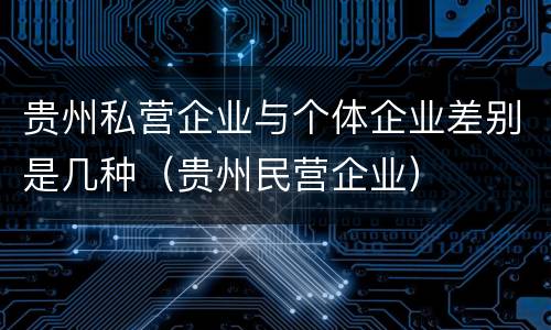 贵州私营企业与个体企业差别是几种（贵州民营企业）