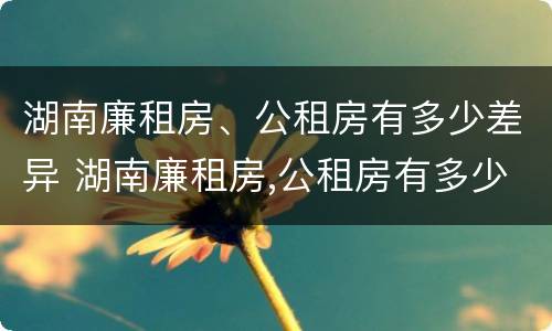 湖南廉租房、公租房有多少差异 湖南廉租房,公租房有多少差异呢