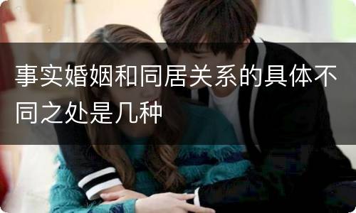 事实婚姻和同居关系的具体不同之处是几种