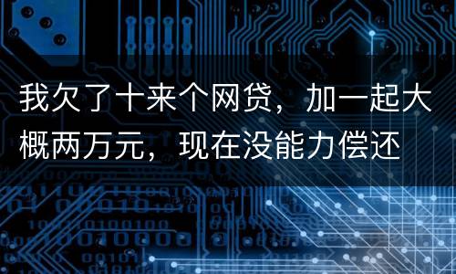 我欠了十来个网贷，加一起大概两万元，现在没能力偿还