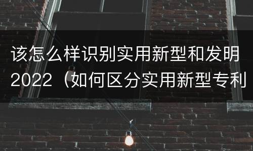 该怎么样识别实用新型和发明2022（如何区分实用新型专利和发明专利）