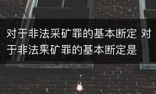 对于非法采矿罪的基本断定 对于非法采矿罪的基本断定是