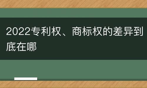 2022专利权、商标权的差异到底在哪