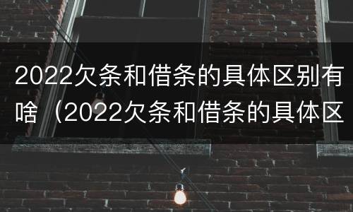 2022欠条和借条的具体区别有啥（2022欠条和借条的具体区别有啥呢）