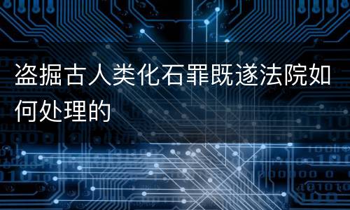 盗掘古人类化石罪既遂法院如何处理的