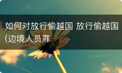 如何对放行偷越国 放行偷越国(边境人员罪
