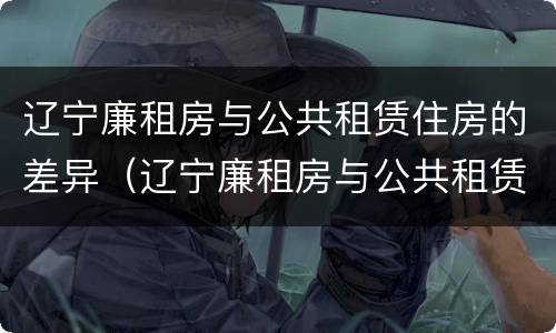 辽宁廉租房与公共租赁住房的差异（辽宁廉租房与公共租赁住房的差异是多少）
