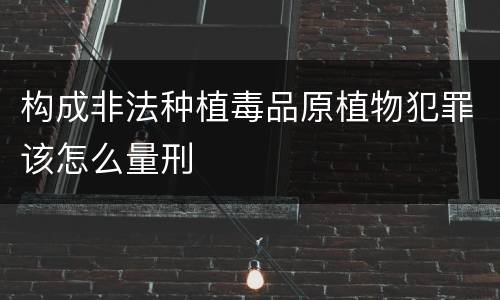 构成非法种植毒品原植物犯罪该怎么量刑