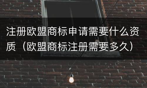 注册欧盟商标申请需要什么资质（欧盟商标注册需要多久）