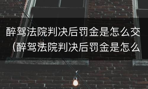醉驾法院判决后罚金是怎么交（醉驾法院判决后罚金是怎么交费的）