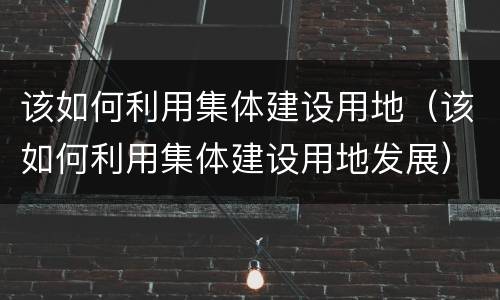 该如何利用集体建设用地（该如何利用集体建设用地发展）