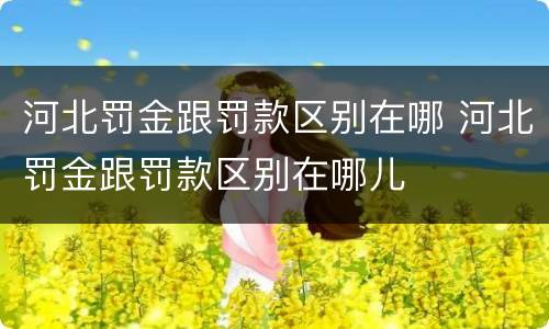 河北罚金跟罚款区别在哪 河北罚金跟罚款区别在哪儿