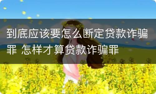 到底应该要怎么断定贷款诈骗罪 怎样才算贷款诈骗罪