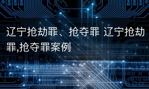 辽宁抢劫罪、抢夺罪 辽宁抢劫罪,抢夺罪案例