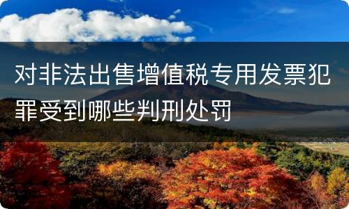 对非法出售增值税专用发票犯罪受到哪些判刑处罚