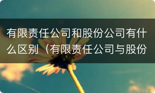 有限责任公司和股份公司有什么区别（有限责任公司与股份公司有什么区别）