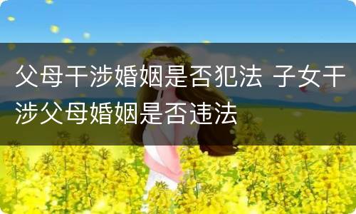 父母干涉婚姻是否犯法 子女干涉父母婚姻是否违法