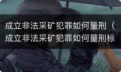 成立非法采矿犯罪如何量刑（成立非法采矿犯罪如何量刑标准）