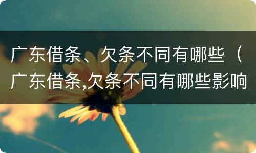 广东借条、欠条不同有哪些（广东借条,欠条不同有哪些影响）