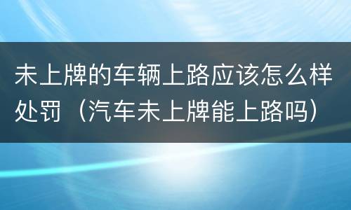 未上牌的车辆上路应该怎么样处罚（汽车未上牌能上路吗）