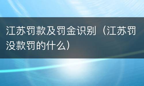 江苏罚款及罚金识别（江苏罚没款罚的什么）