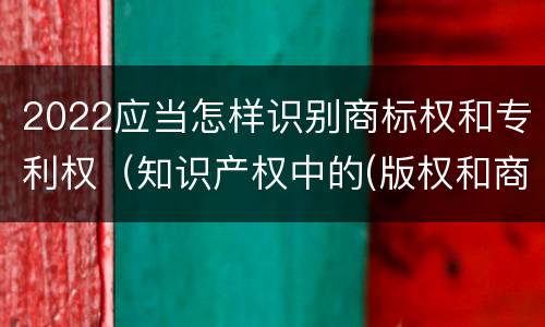 2022应当怎样识别商标权和专利权（知识产权中的(版权和商标权与标准）