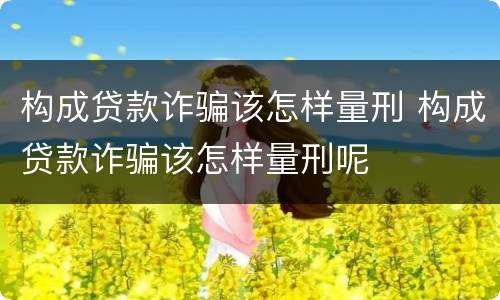 构成贷款诈骗该怎样量刑 构成贷款诈骗该怎样量刑呢
