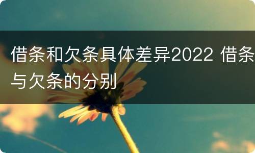 借条和欠条具体差异2022 借条与欠条的分别