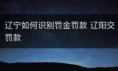 辽宁如何识别罚金罚款 辽阳交罚款
