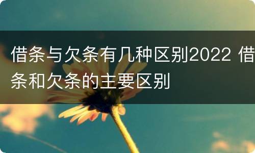 借条与欠条有几种区别2022 借条和欠条的主要区别