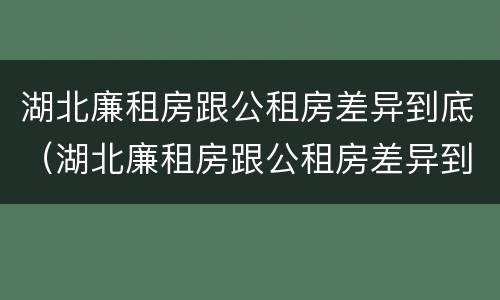 湖北廉租房跟公租房差异到底（湖北廉租房跟公租房差异到底有多大）