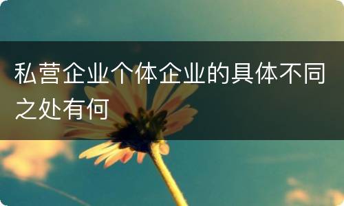 私营企业个体企业的具体不同之处有何