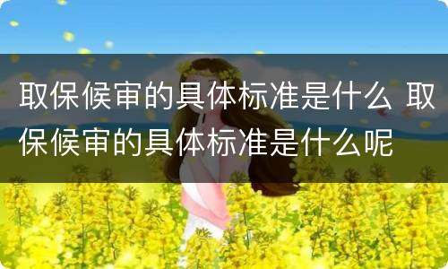 取保候审的具体标准是什么 取保候审的具体标准是什么呢