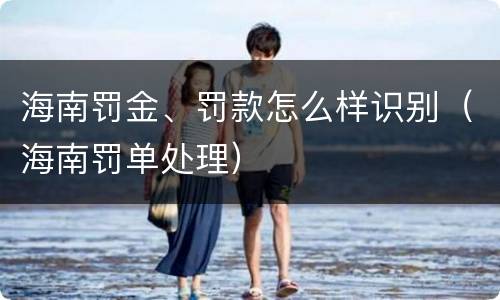 海南罚金、罚款怎么样识别（海南罚单处理）