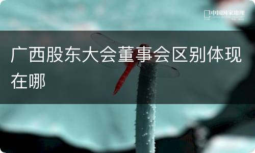 广西股东大会董事会区别体现在哪