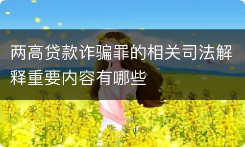 两高贷款诈骗罪的相关司法解释重要内容有哪些