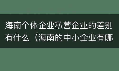 海南个体企业私营企业的差别有什么（海南的中小企业有哪些）