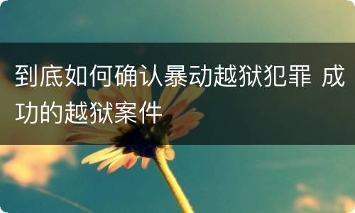 到底如何确认暴动越狱犯罪 成功的越狱案件