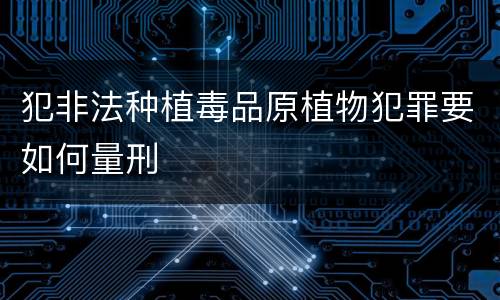 犯非法种植毒品原植物犯罪要如何量刑