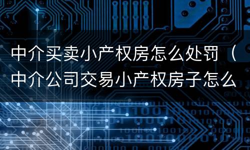 中介买卖小产权房怎么处罚（中介公司交易小产权房子怎么处罚）
