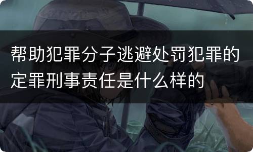 帮助犯罪分子逃避处罚犯罪的定罪刑事责任是什么样的