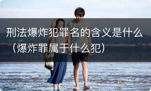 刑法爆炸犯罪名的含义是什么（爆炸罪属于什么犯）