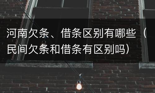 河南欠条、借条区别有哪些（民间欠条和借条有区别吗）