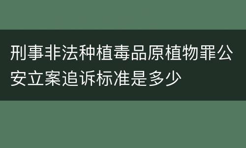 刑事非法种植毒品原植物罪公安立案追诉标准是多少