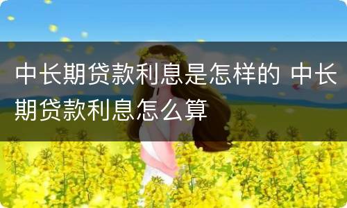 中长期贷款利息是怎样的 中长期贷款利息怎么算