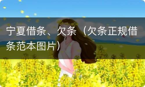宁夏借条、欠条（欠条正规借条范本图片）